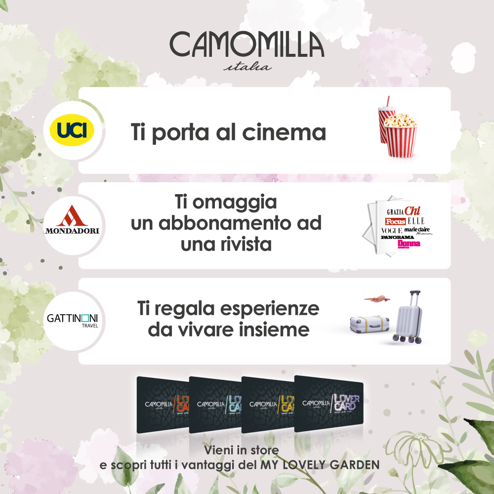 Camomilla cinema