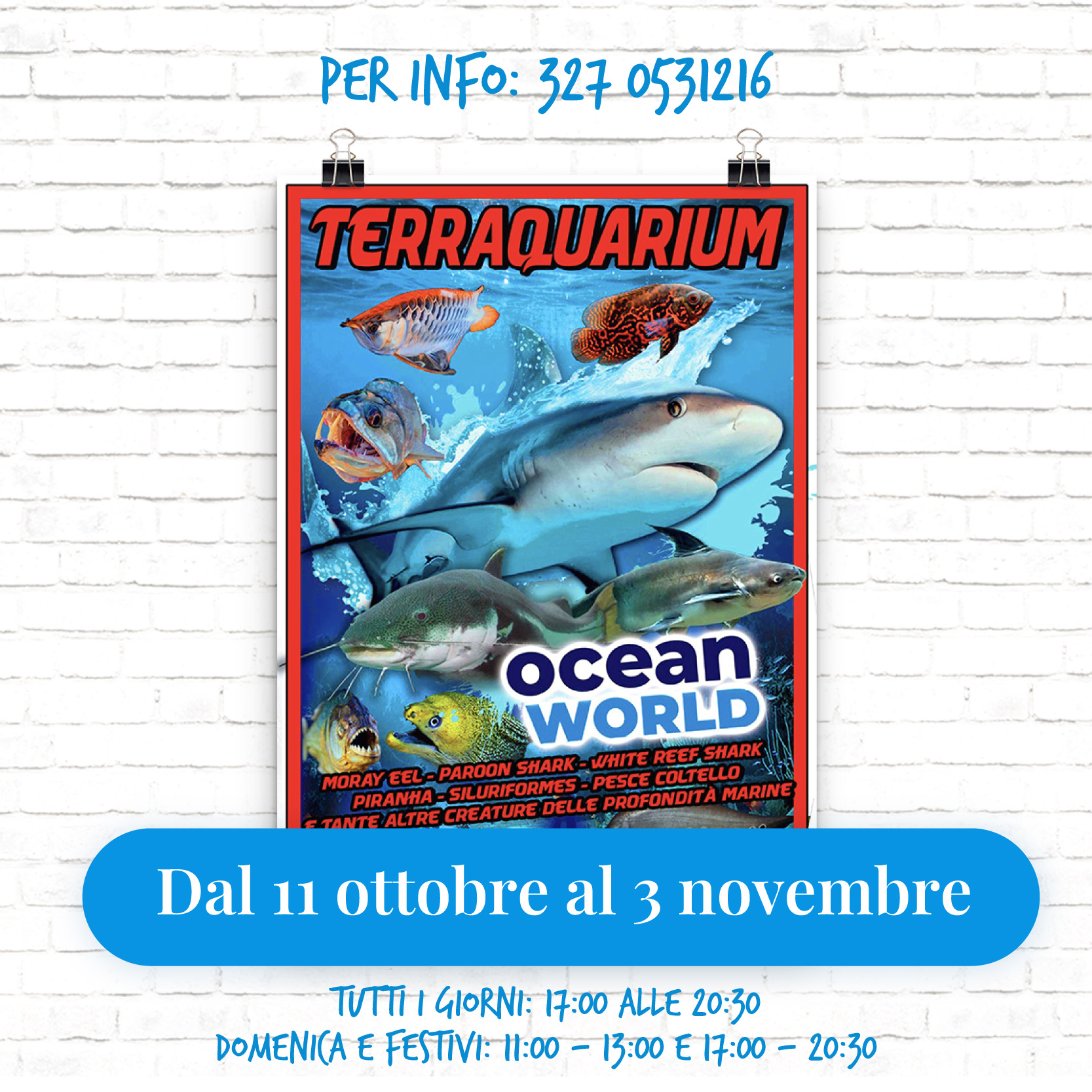 Terraquarium – Ocean World